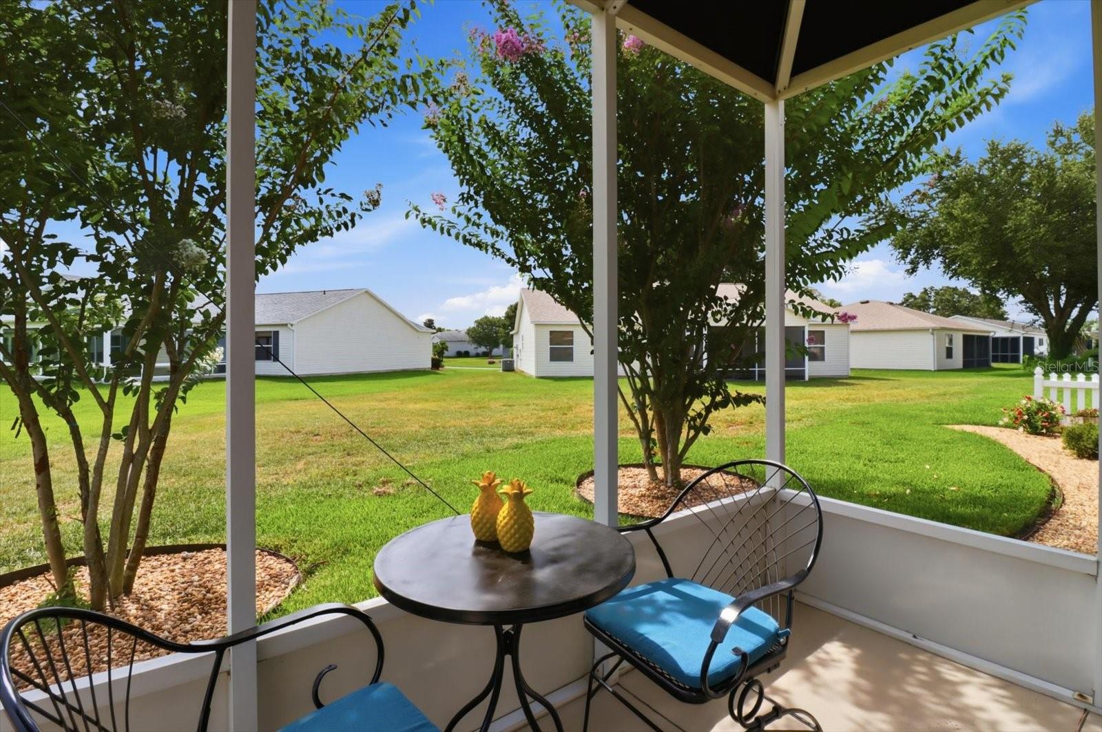 THE VILLAGE OF SUMTER RAINEY VILLAS - Residential