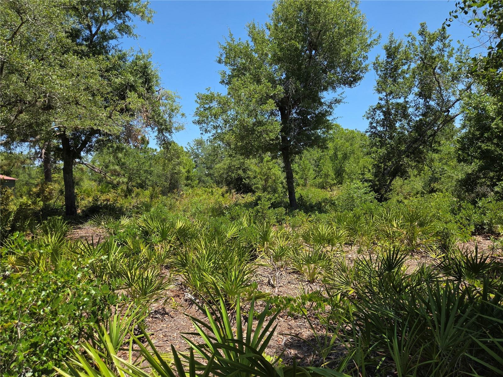 Discover the perfect opportunity to BUILD YOUR DREAM HOME on this CLEARED 0.28-ACRE LOT in Charlotte Estates, conveniently located off Washington Loop Road. This Vacant Residential parcel offers the benefits of AG ZONING, providing flexibility for your plans. Enjoy peace of mind with NO SCRUB JAY restrictions, NO FLOOD ZONE concerns, and NO DEED RESTRICTIONS. Nestled among executive homes, farms, and picturesque orange groves, this neighborhood offers a tranquil setting. Plus, you're just a short drive away from Punta Gorda, Arcadia, shopping, dining, I-75, and a wealth of recreational activities, including fishing, boating, golf, tennis, pickleball, and Punta Gorda Airport. Don't miss out on this ideal location!