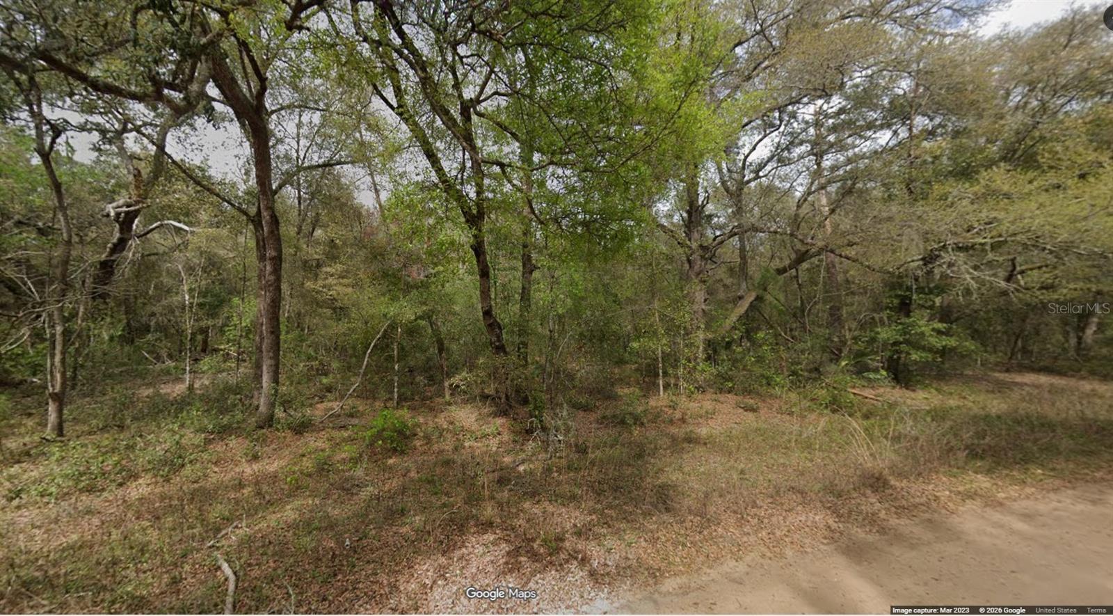 INTERLACHEN LAKES ESTATES - Land