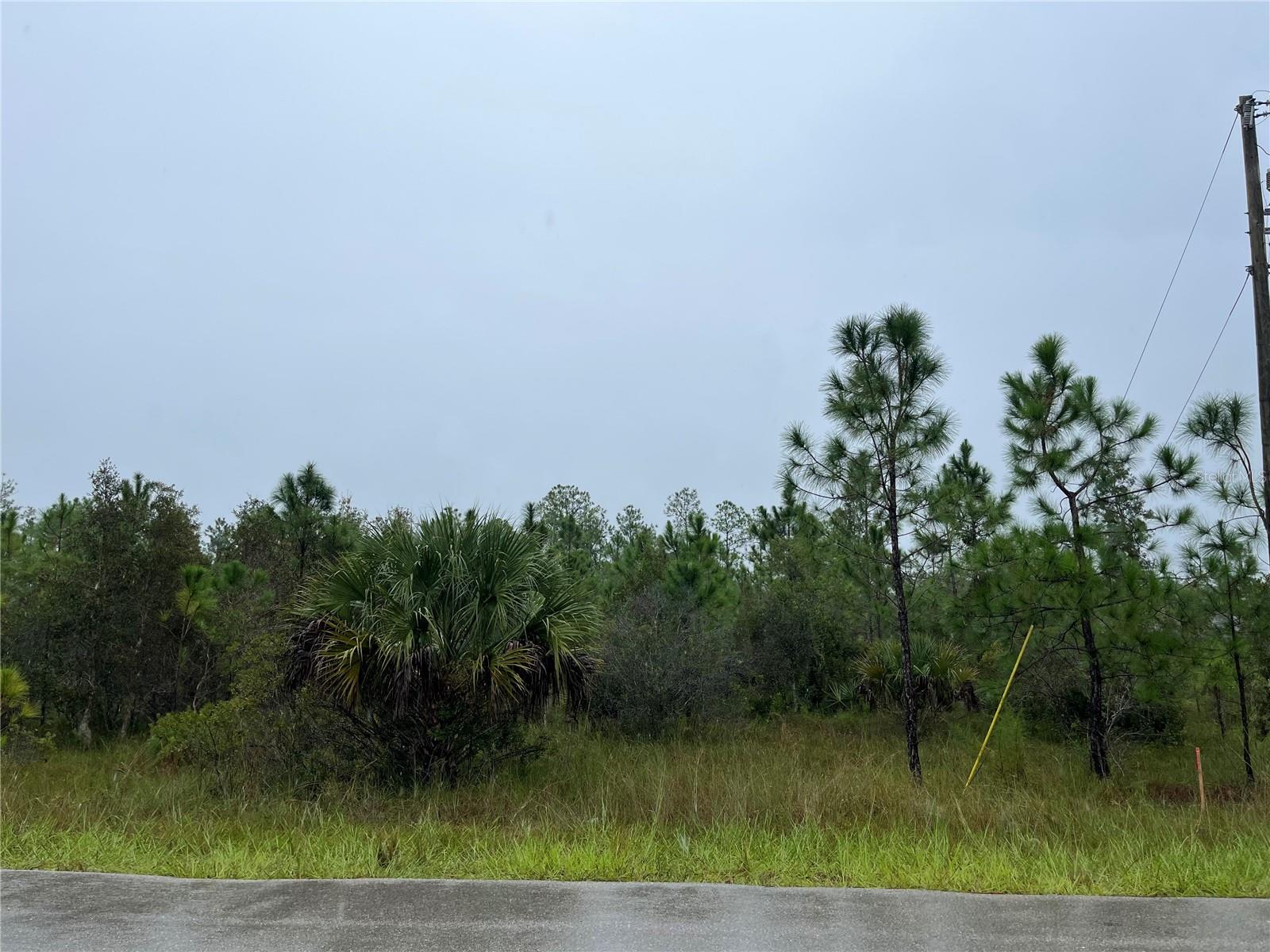 This large corner duplex lot zoned RM-2 ready to go for either duplex construction or a single-family home. Great location, with easy access to Lee Blvd and Fort Myers corridor. Close to shopping, restaurants, schools and all the amenities Lehigh Acres, Ft Myers and Ft Myers Beach has to offer. This property is an excellent investment and is not in an HOA. Don't miss out on this fantastic opportunity!