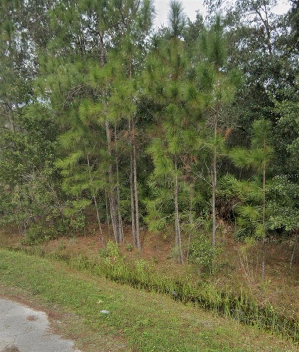 POINCIANA NBRHD 06 SOUTH VILLAGE 03 - Land