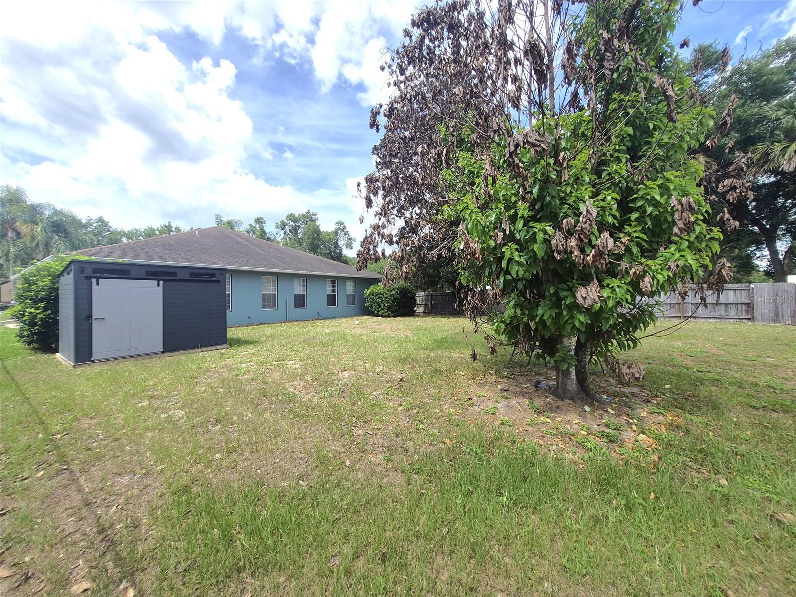 MOUNT DORA PALMA CEIA - Residential