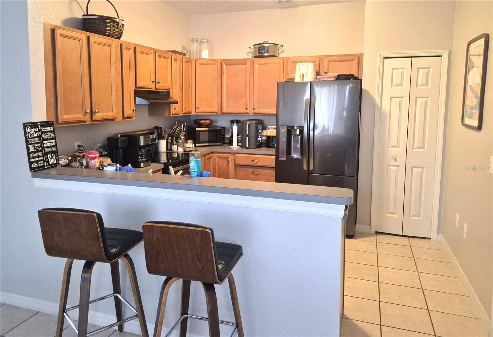 MOUNT DORA PALMA CEIA - Residential