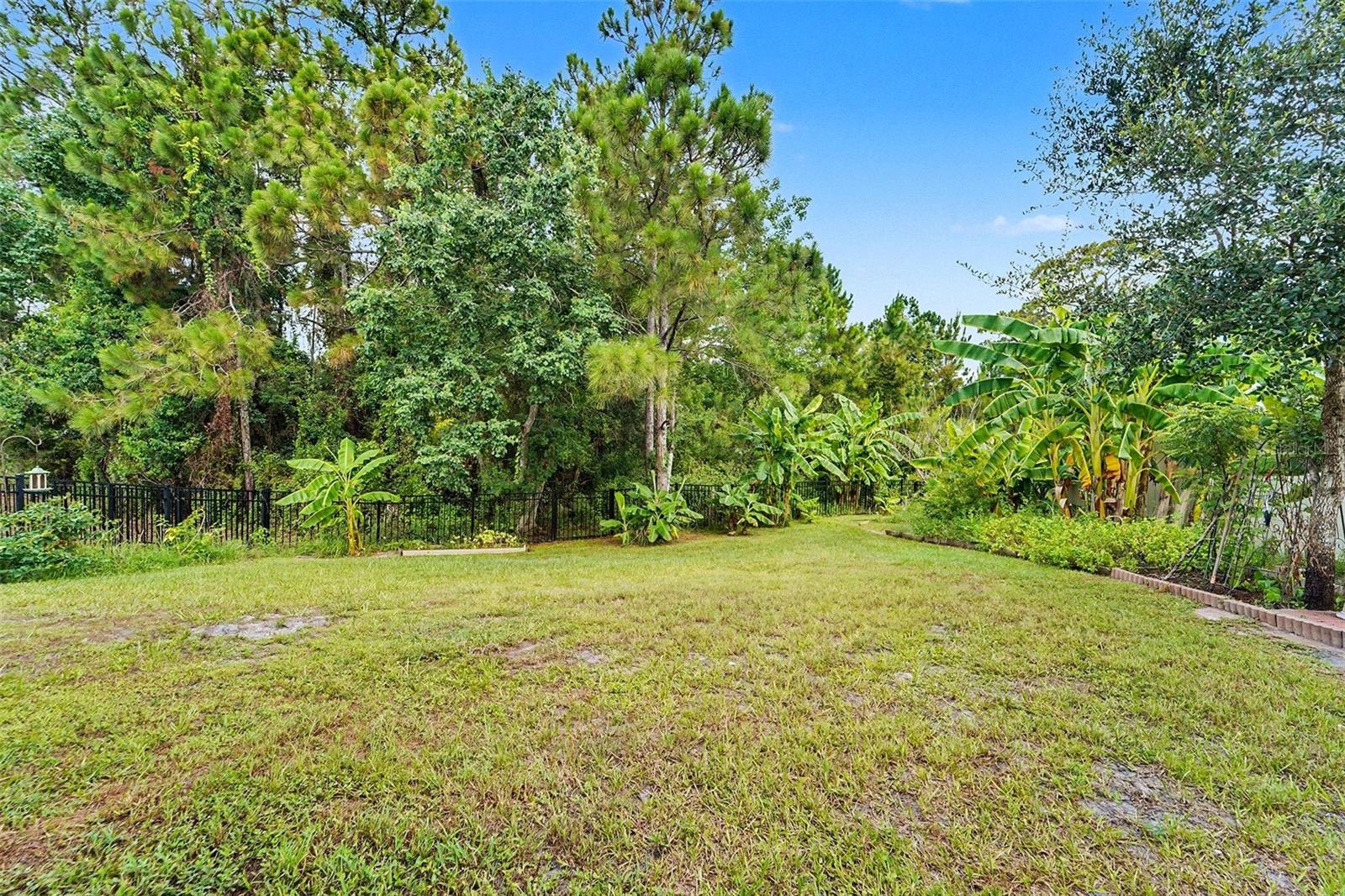 SOUTH BRANCH PRESERVE PH 4A 4 - Residential