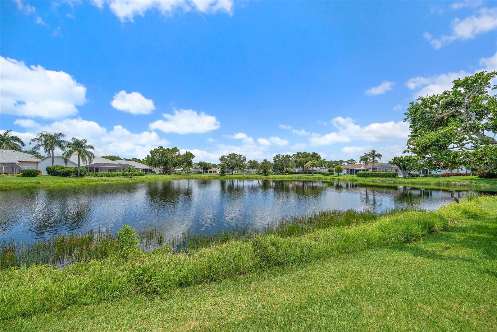 STONEYBROOK AT PALMER RANCH - Residential