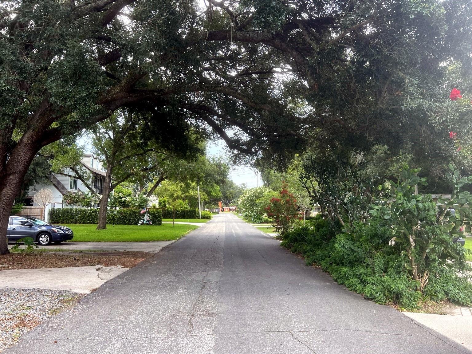 ORANGEWOOD PARK - Residential