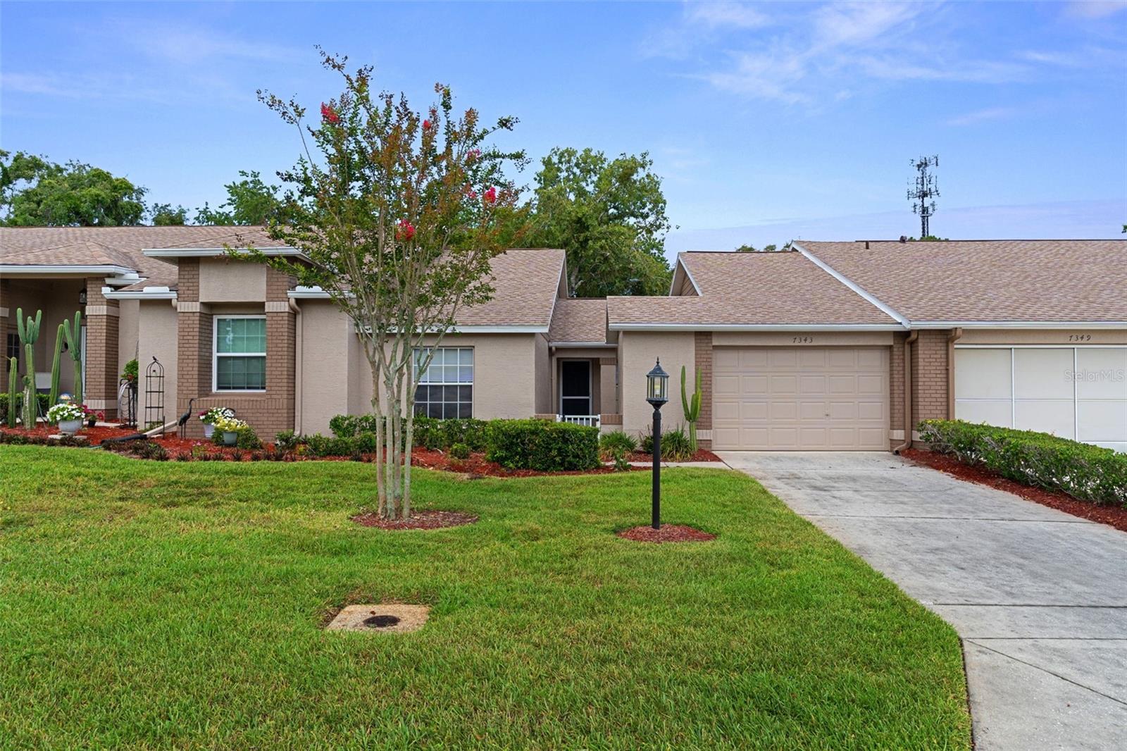 TIMBER PINES - Residential