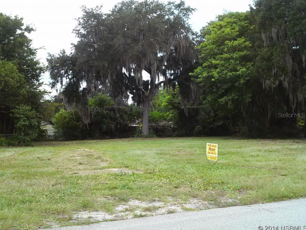 Florida Shores 01 - Land