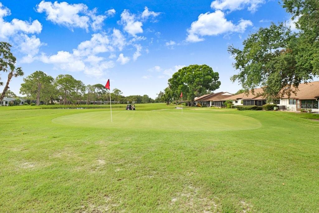 GOLF VIEW VILLAS @ SEVEN SPRINGS GC&C - Residential