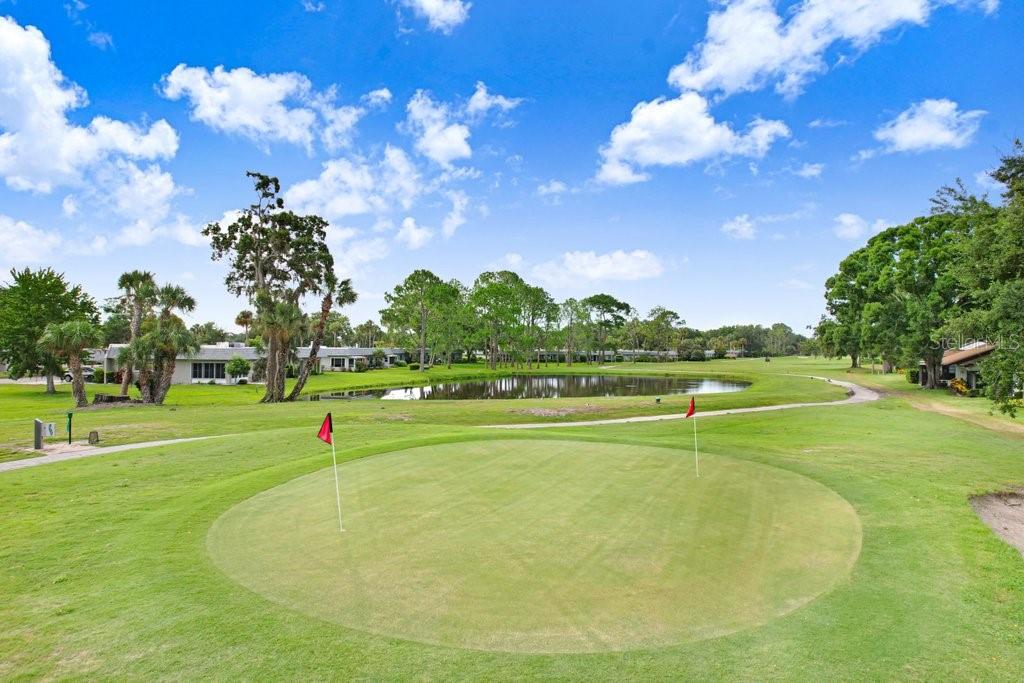 GOLF VIEW VILLAS @ SEVEN SPRINGS GC&C - Residential