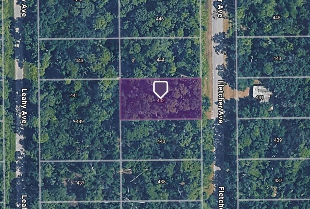 Zoned R-1 and situated on a quiet residential street, this property offers a peaceful setting surrounded by natural Florida beauty while remaining conveniently located near shopping, dining, schools, golf courses, and the area's renowned freshwater lakes. With no HOA and plenty of room for a custom home, garage, and outdoor living space, this parcel presents an excellent opportunity for homeowners, investors, or builders looking to secure land in one of Central Florida's most affordable and rapidly developing markets. Enjoy the small-town charm of Lake Placid, known as the "Town of Murals and Lakes," with easy access to boating, fishing, and year-round outdoor recreation. Lot size approximately 0.26 acres.