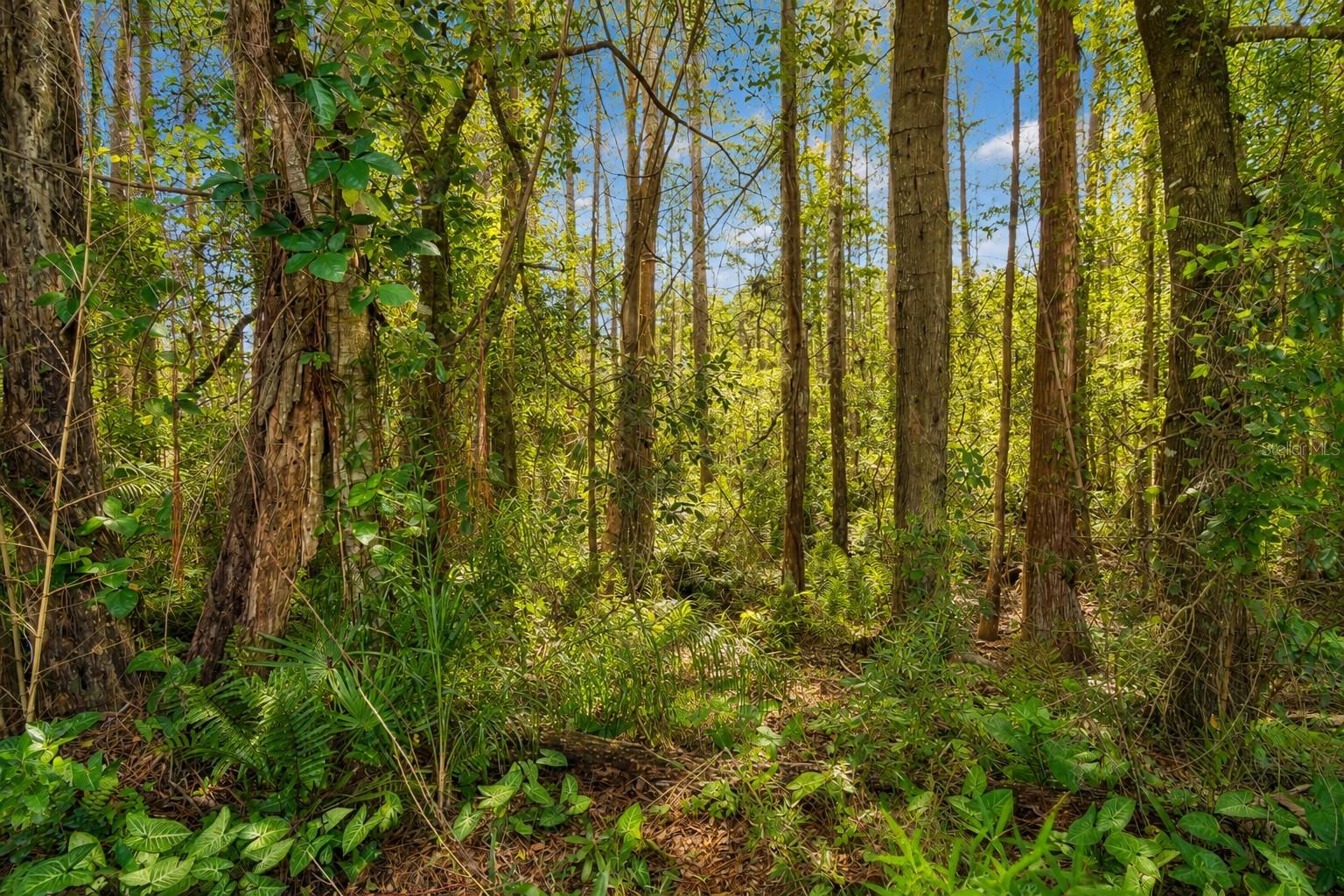 SHADOWLAKE VILLAGE AT WOODFIELD - Residential