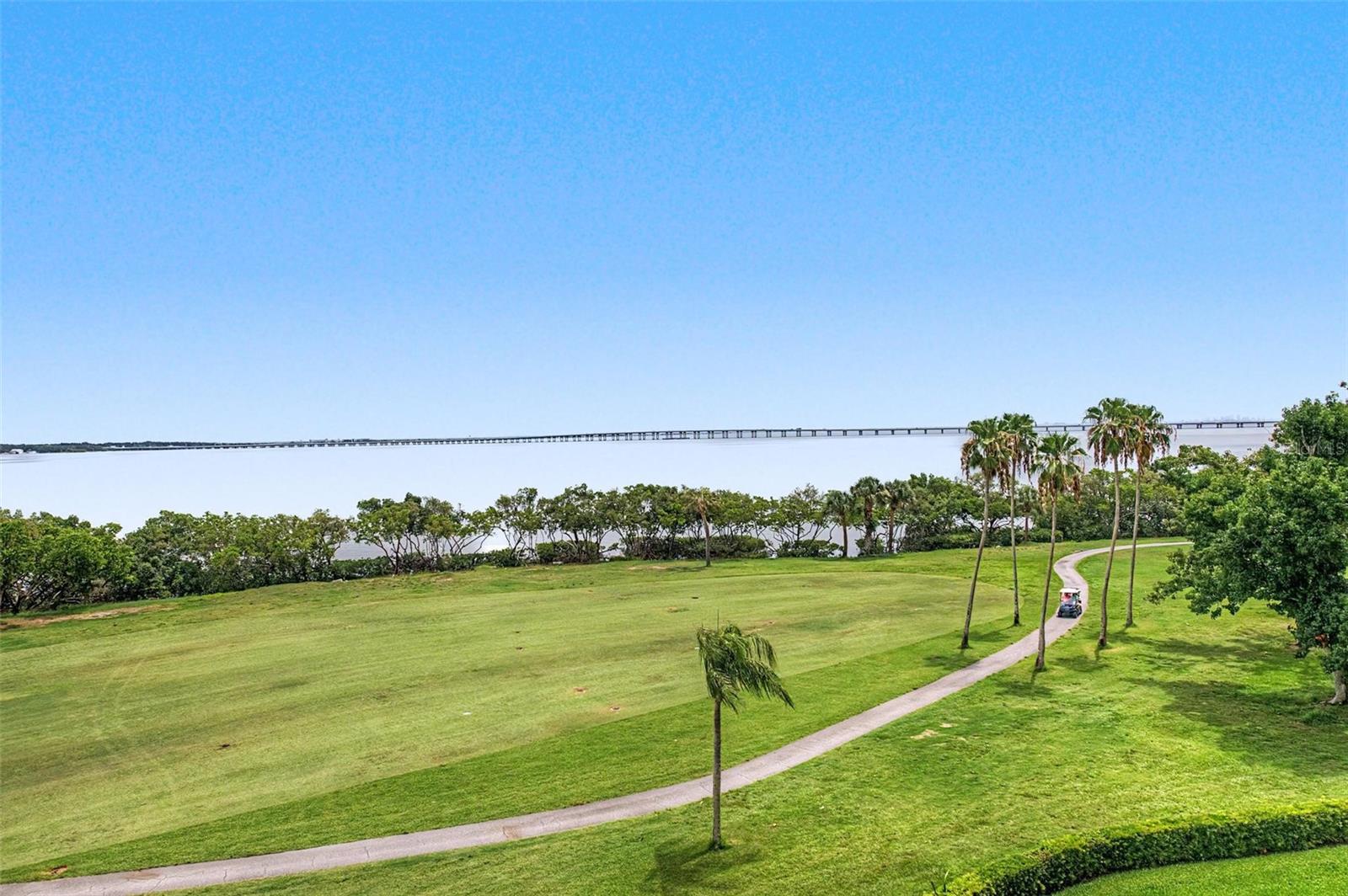 Wake up every day to breathtaking views of Tampa Bay and the lush fairways of the Cove Cay Golf Course from this beautifully updated fifth-floor Studio condominium. Thoughtfully renovated with quality finishes throughout, this spacious residence offers an open, bright floor plan designed for comfortable everyday living and effortless entertaining. The beautifully remodeled kitchen is a standout feature, showcasing rich espresso soft-close cabinetry, stunning premium granite countertops inspired by the natural beauty of river rocks, an undermount stainless steel sink, high-neck designer faucet, and a dramatic raised ceiling effect enhanced with track lighting. A generous snack bar with pass-through opens the kitchen to the living area, while a full suite of Frigidaire Gallery stainless steel appliances completes this impressive space. The expansive living area has been enlarged to provide even more flexibility and functionality and includes a convenient storage room plus a separate full-size utility/laundry room. Throughout the home you'll appreciate 2024 luxury vinyl plank flooring, with durable ceramic tile in the kitchen and bathroom. Elegant crown molding, smooth knockdown ceilings with no popcorn, and classic six-panel bi-fold doors on the oversized walk-in closet give the home a polished, contemporary feel.The updated bathroom continues the quality finishes with a stylish espresso vanity, decorative mirror, modern lighting, and beautiful granite countertops featuring the same natural river-rock appearance found in the kitchen.  Also, the a/c was replaced in the summer of 2025 and there is a convenient carport to shelter your vehicle.  Whether you're searching for a year-round residence or seasonal getaway, this move-in-ready studio offers exceptional style, abundant space and storage, quality upgrades, and some of the most spectacular panoramic views in Cove Cay. Enjoy resort-style living with golf, boating, waterfront scenery, and all the amenities that make this the paradise known as Cove Cay.