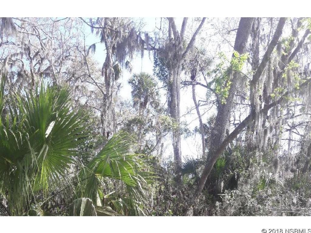 GREAT  DEEP LOT NOW FOR SALE! CALL FOR DETAILS, HAS SOME BEAUTIFUL SOUTHERN  LIVE OAK TREES THAT WOULD LOOK GREAT SURROUNDING YOUR NEW HOME.; Cleared: No ;Water: Holding Tank