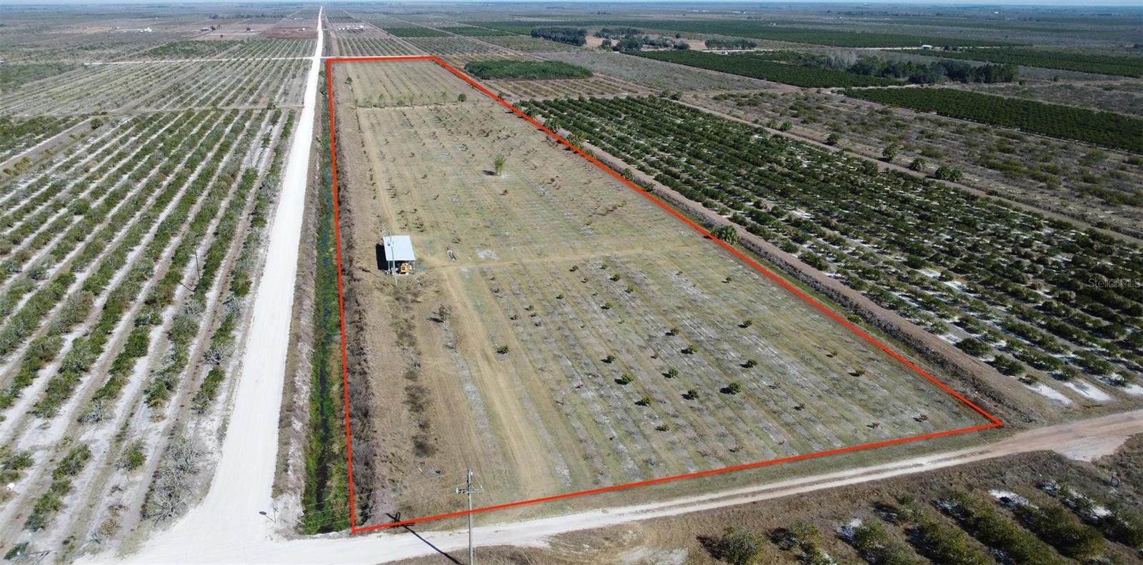 Exceptional opportunity to own 20 acres of fully irrigated agricultural land currently planted in a diverse variety of tropical and specialty fruit trees. This established grove offers excellent potential for continued agricultural use or expansion of an existing operation. A detailed inventory of tree varieties and counts is available in the attached documents.
The property is supported by a 6” diesel-powered well providing a strong and reliable water source for irrigation. Electric service is available on site, adding convenience for agricultural operations. A 63x10 pole barn provides functional storage for equipment and supplies.
Productive acreage with infrastructure in place and room to grow. Property is located in the ALICO Land Management area. OWNER FINANCING AVAILABLE!