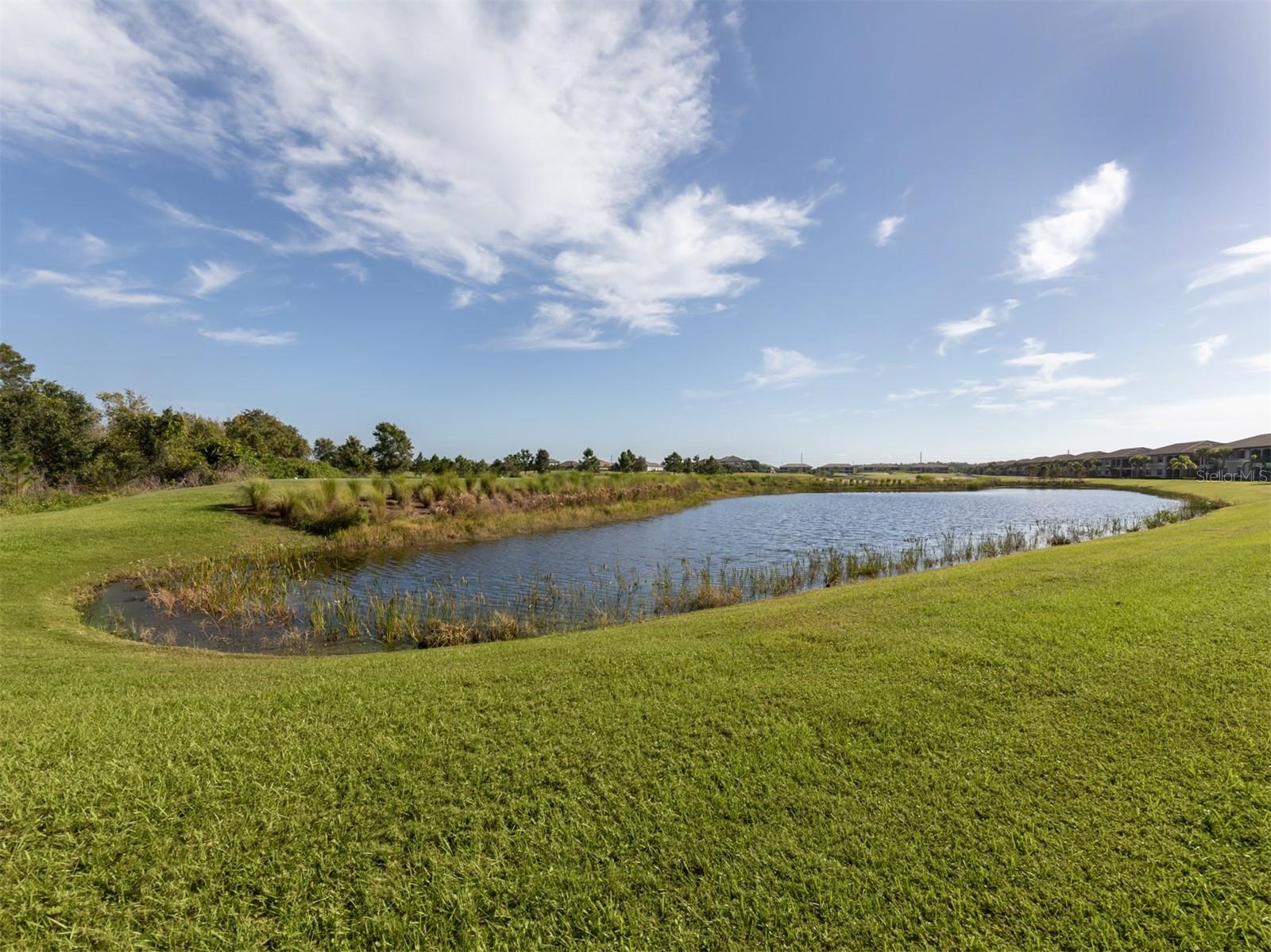 COACH HOMES III AT LAKEWOOD NATIONAL - Residential