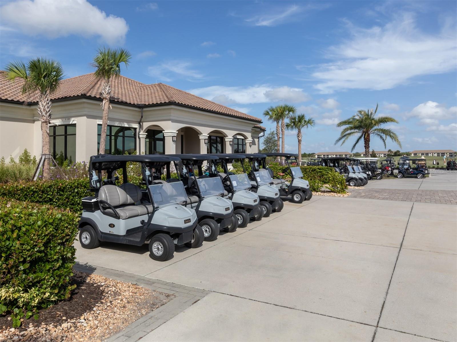 COACH HOMES III AT LAKEWOOD NATIONAL - Residential