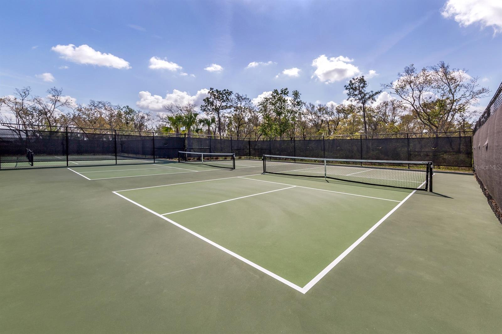 COACH HOMES III AT LAKEWOOD NATIONAL - Residential