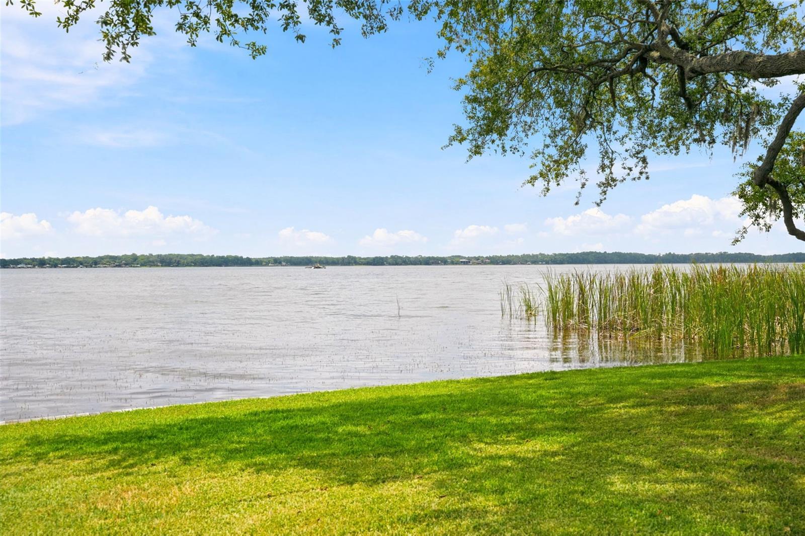 LAKE TARPON SAIL & TENNIS CLUB - Residential