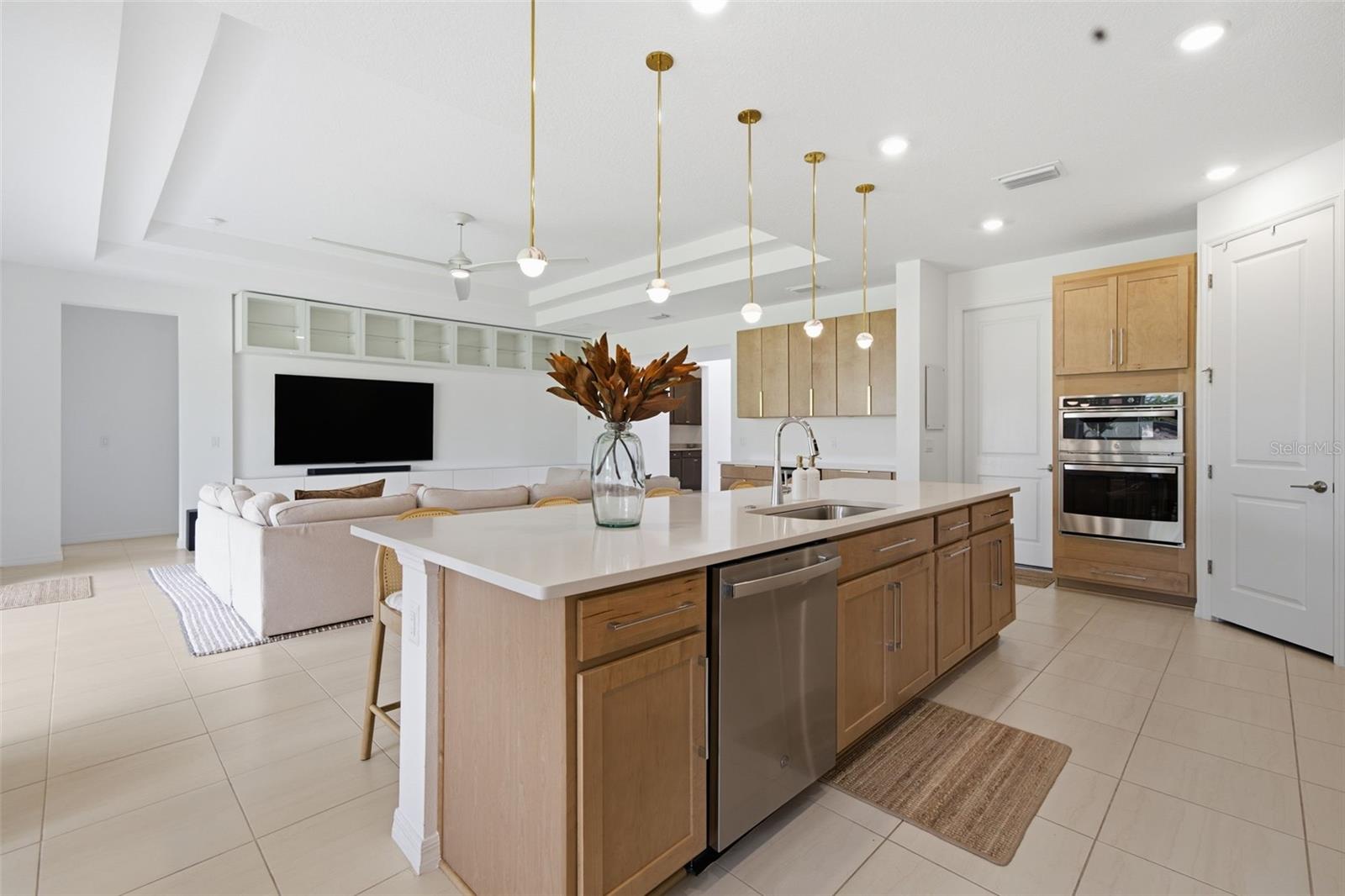 PARK EAST AT AZARIO PH II - Residential