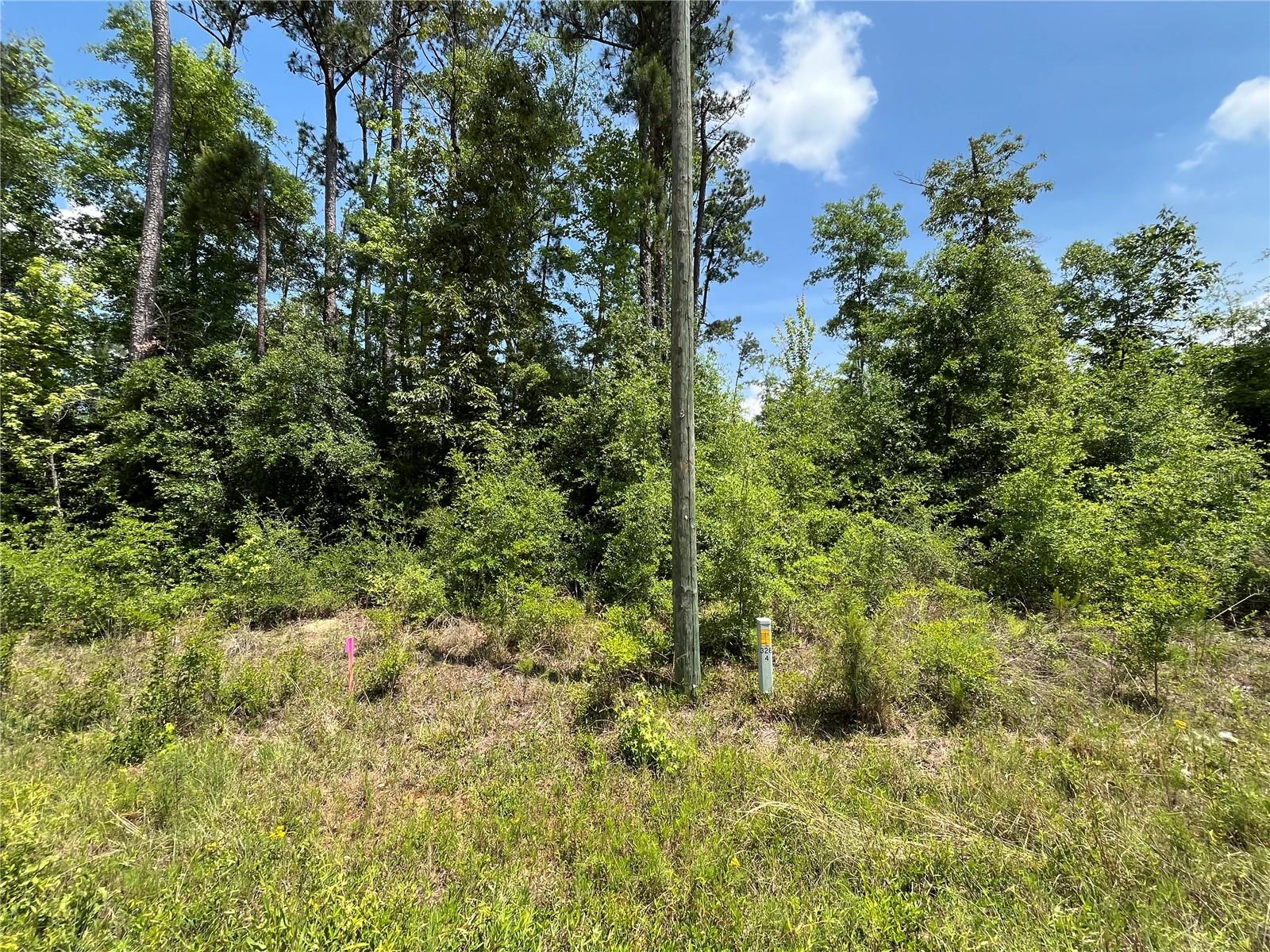 COMPASS LAKE HILLS - Land