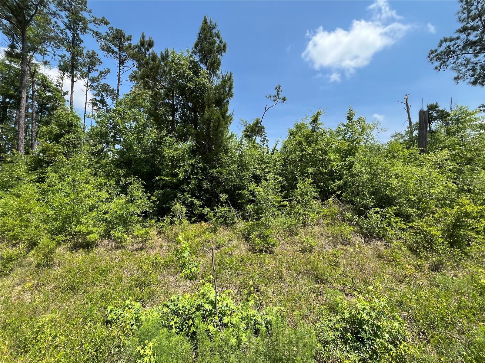 COMPASS LAKE HILLS - Land