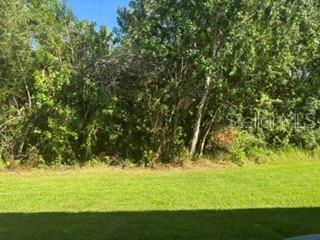 WINDSOR PLACE AT CITRUS PARK P - Residential