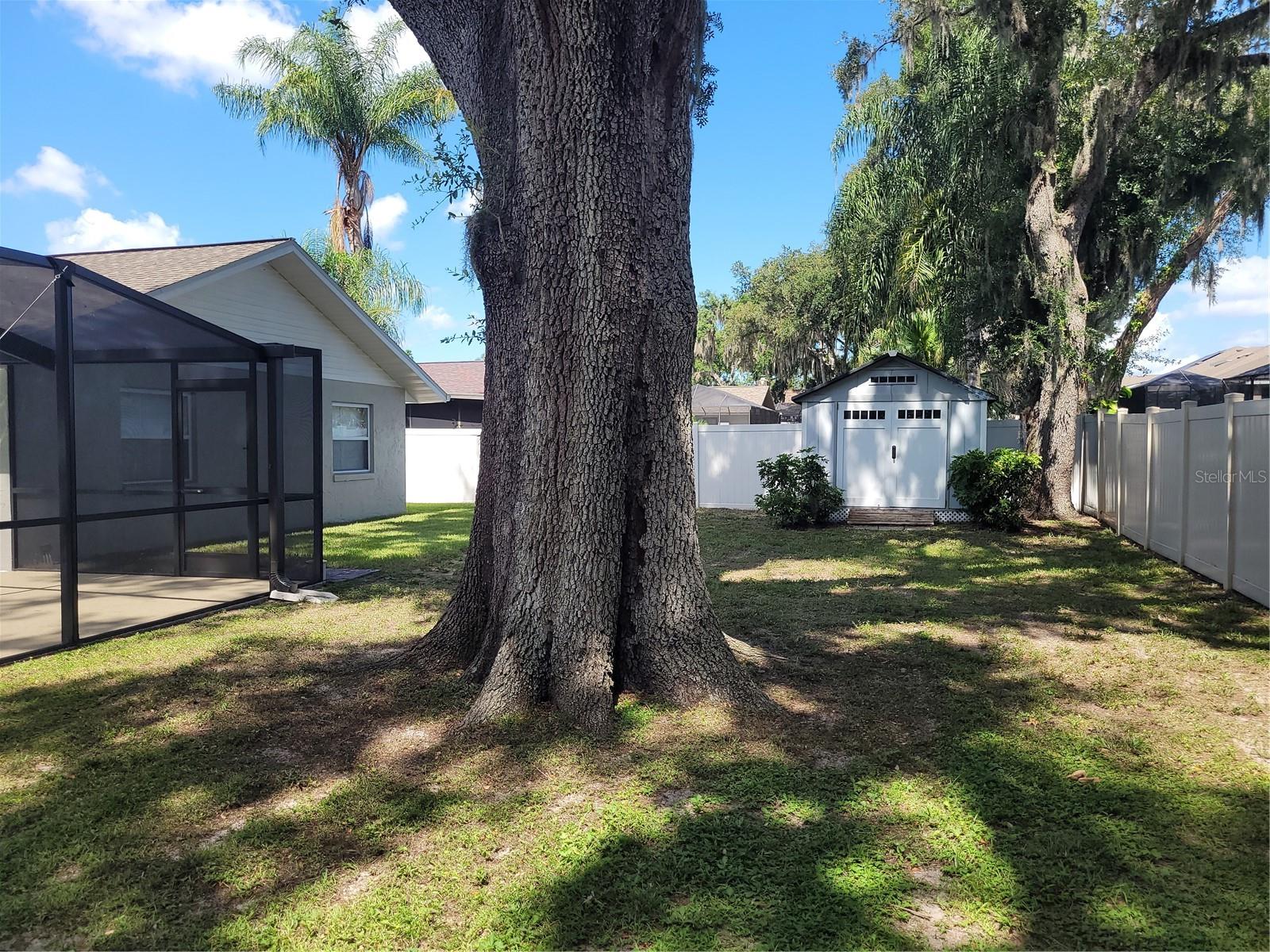 WINCHESTER WOODS - Residential