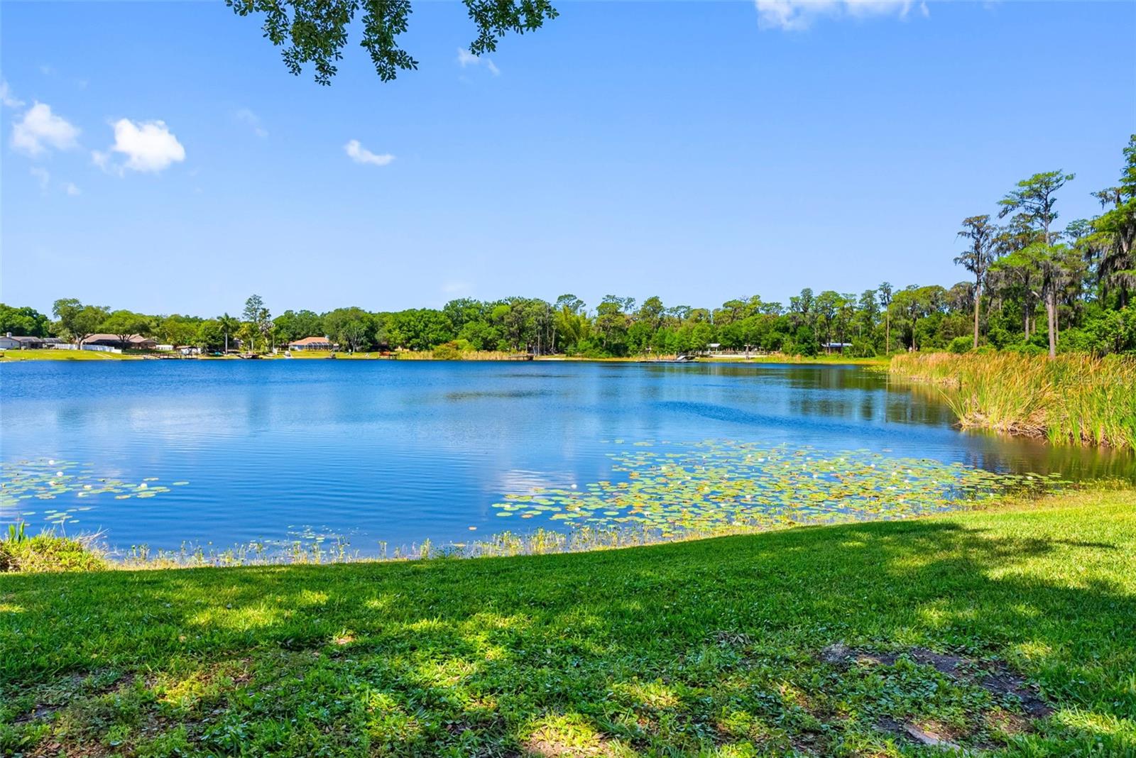 LAKESIDE GROVE ESTATES - Residential