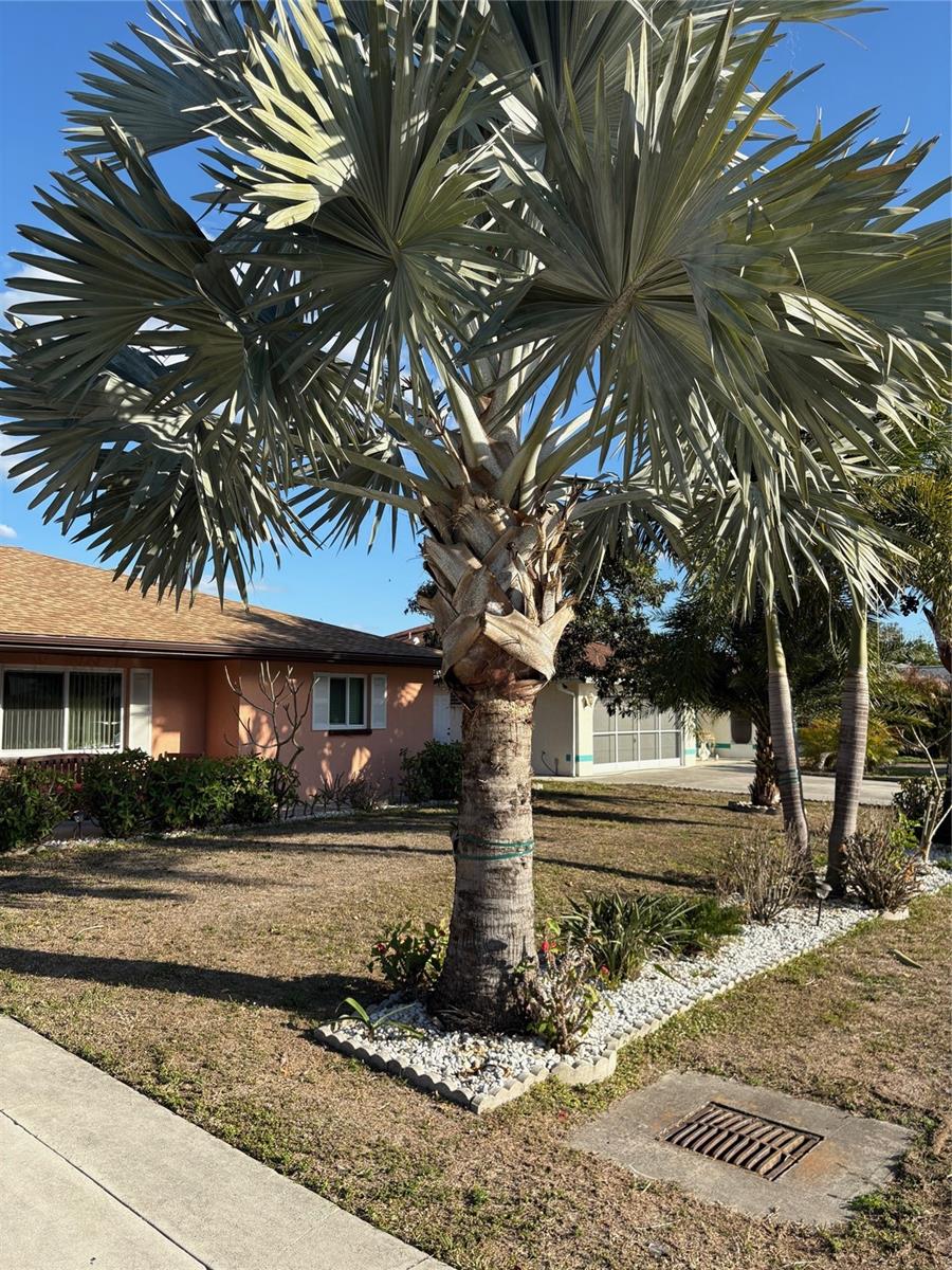 WARM MINERAL SPGS - Residential