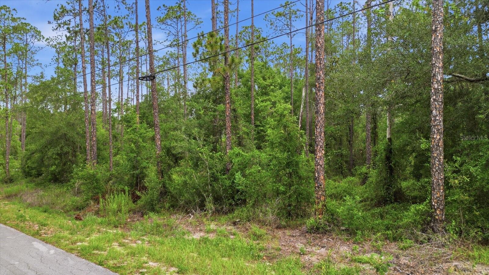 RAINBOW LAKES ESTATES SEC K - Land