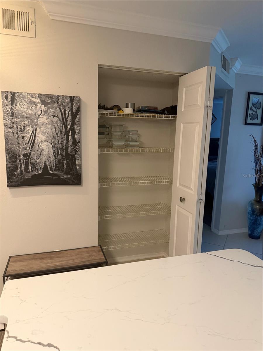 AUDUBON CONDO AT FEATHER SOUND - Residential Lease