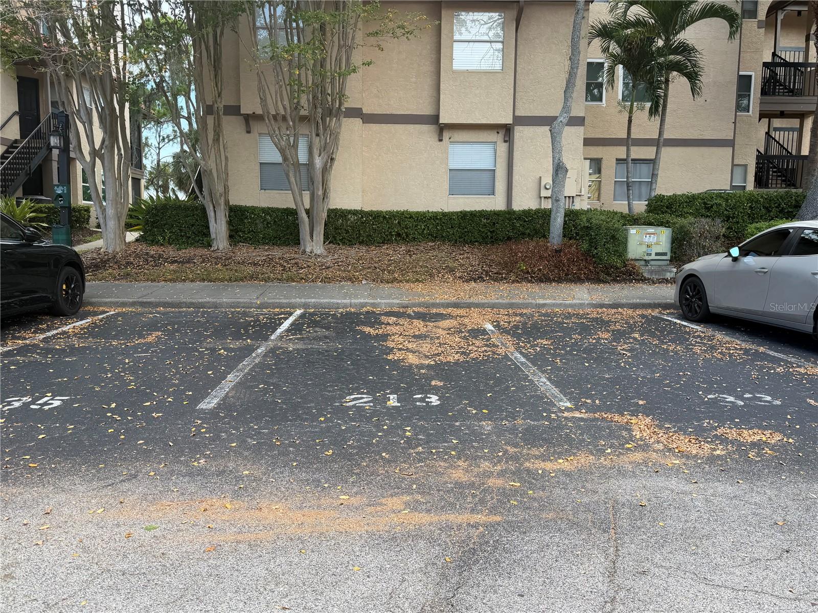 AUDUBON CONDO AT FEATHER SOUND - Residential Lease