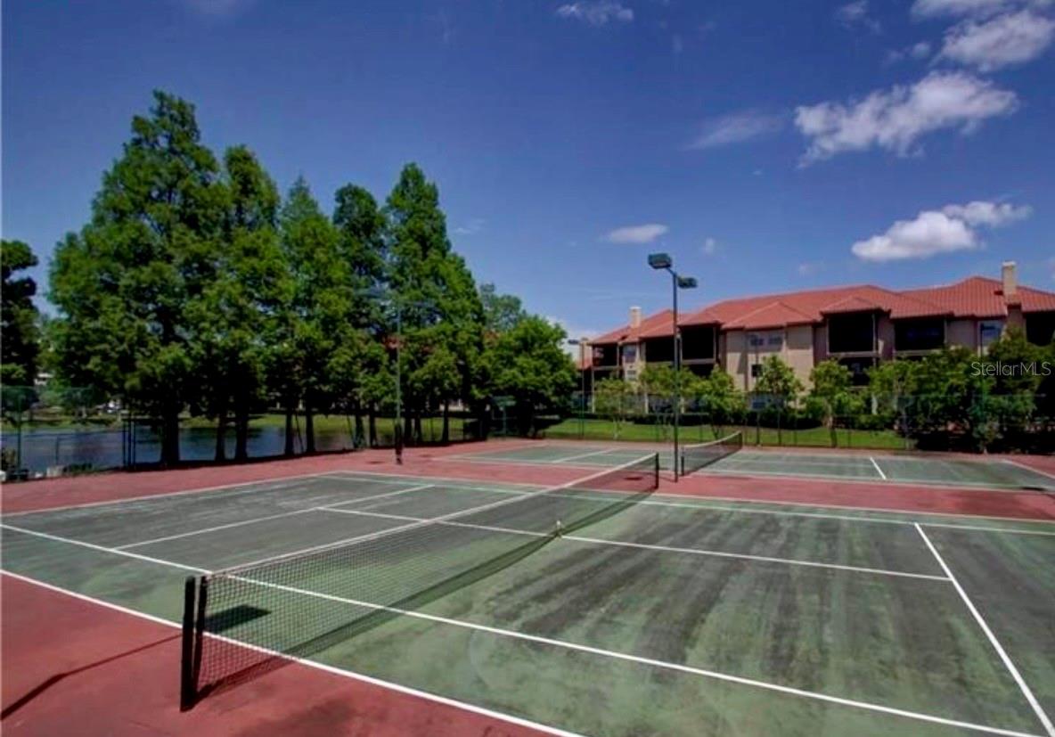 AUDUBON CONDO AT FEATHER SOUND - Residential Lease