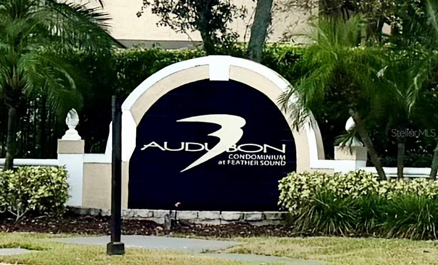 AUDUBON CONDO AT FEATHER SOUND - Residential Lease