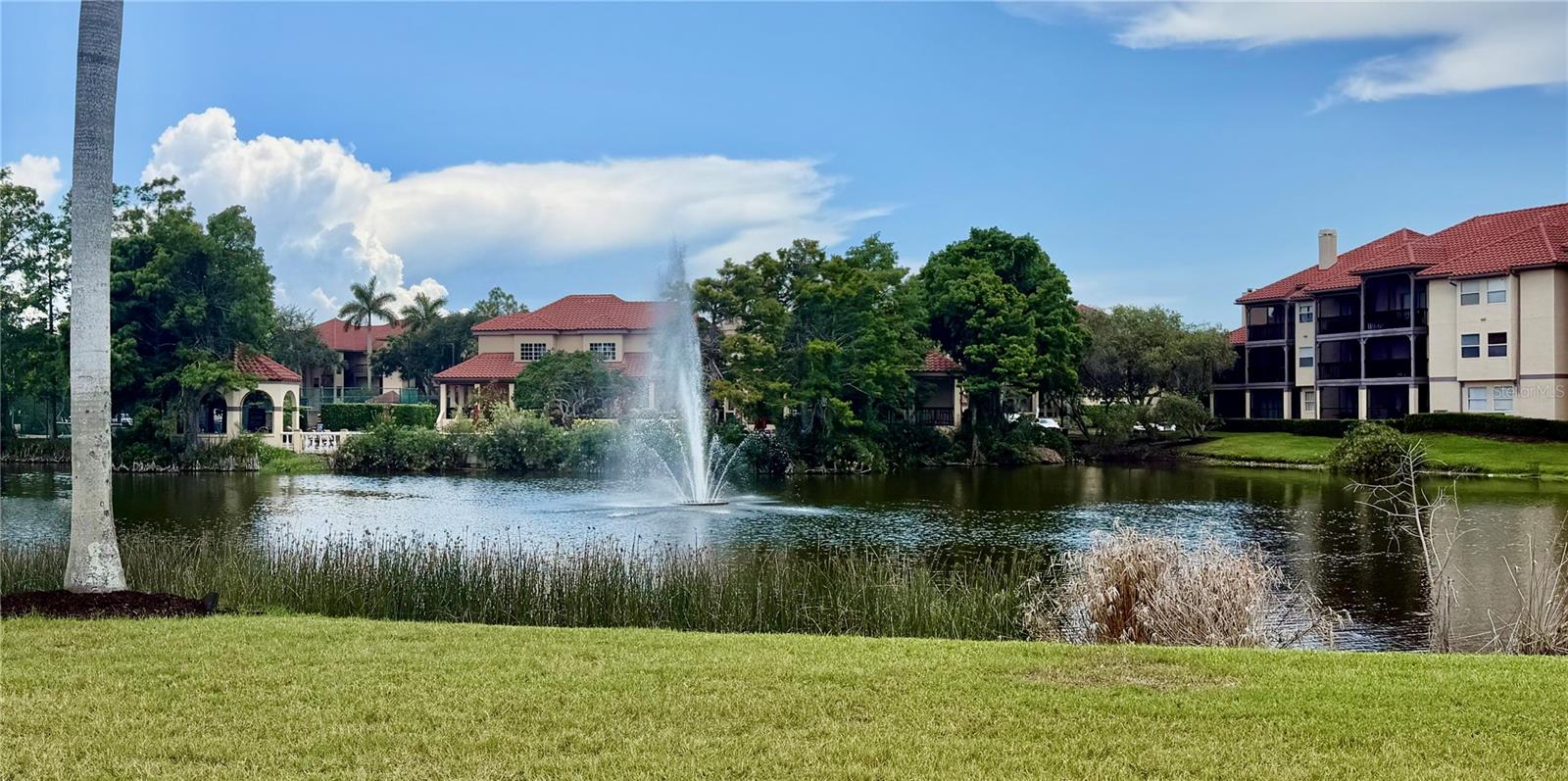 AUDUBON CONDO AT FEATHER SOUND - Residential Lease