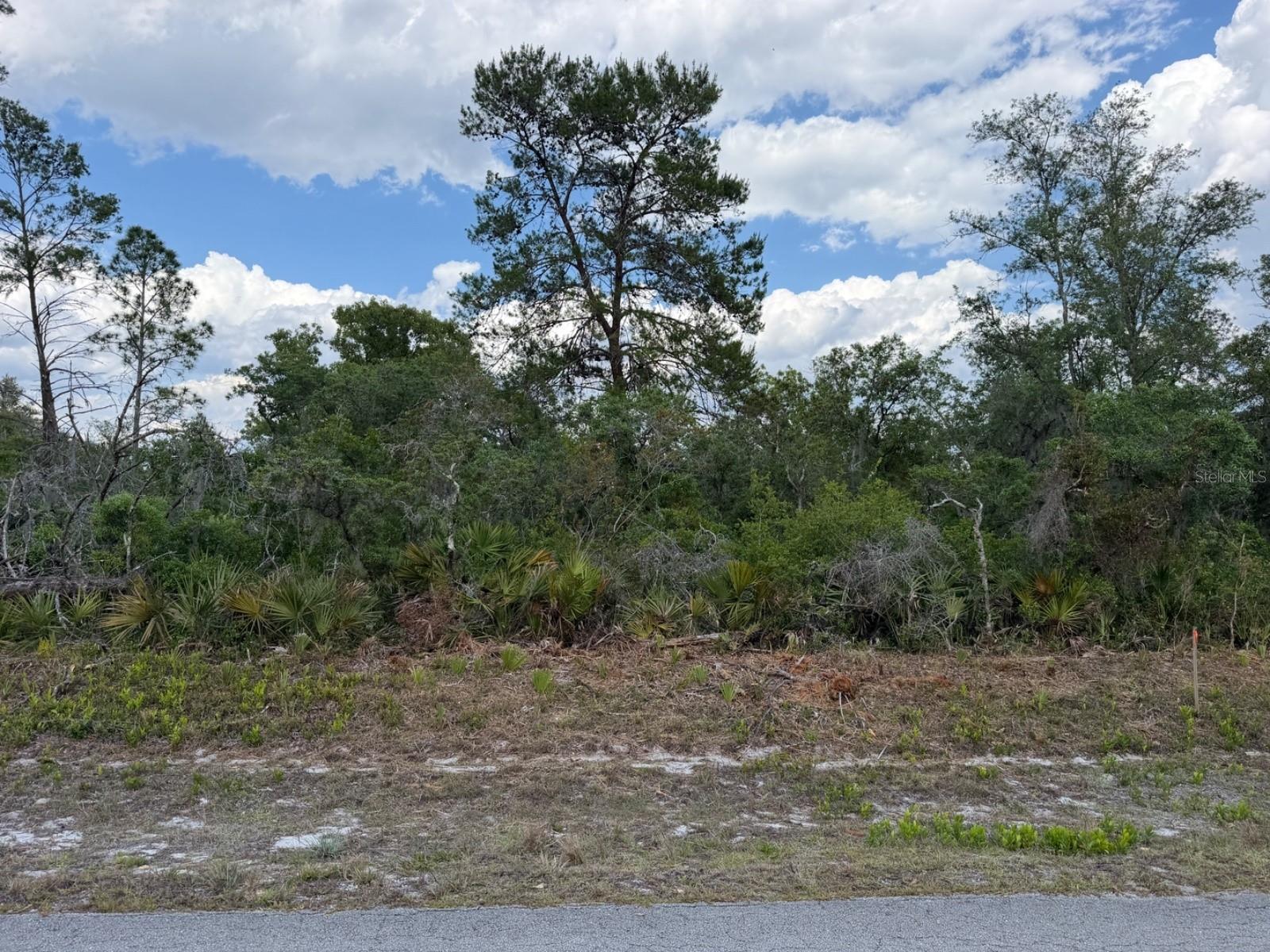 Build your future home on this well-located 0.23-acre lot in the desirable Sun ’n Lake community of Sebring. Situated on a paved street and surrounded by ongoing development, this property offers a great opportunity for both builders and investors looking to secure land in a steadily growing area. The lot provides a natural setting with existing trees, allowing for added privacy and flexibility in your future build. Sun ’n Lake is known for its strong sense of community and convenient access to everyday essentials, including shopping, dining, healthcare, and recreational options. Residents also enjoy nearby golf courses and a variety of outdoor activities that make this area increasingly attractive for both full-time living and seasonal use. Whether you’re planning to build now or hold as an investment, this property offers solid value in an area that continues to see growth and demand. Don’t miss the chance to own a piece of one of Sebring’s most established and expanding communities.