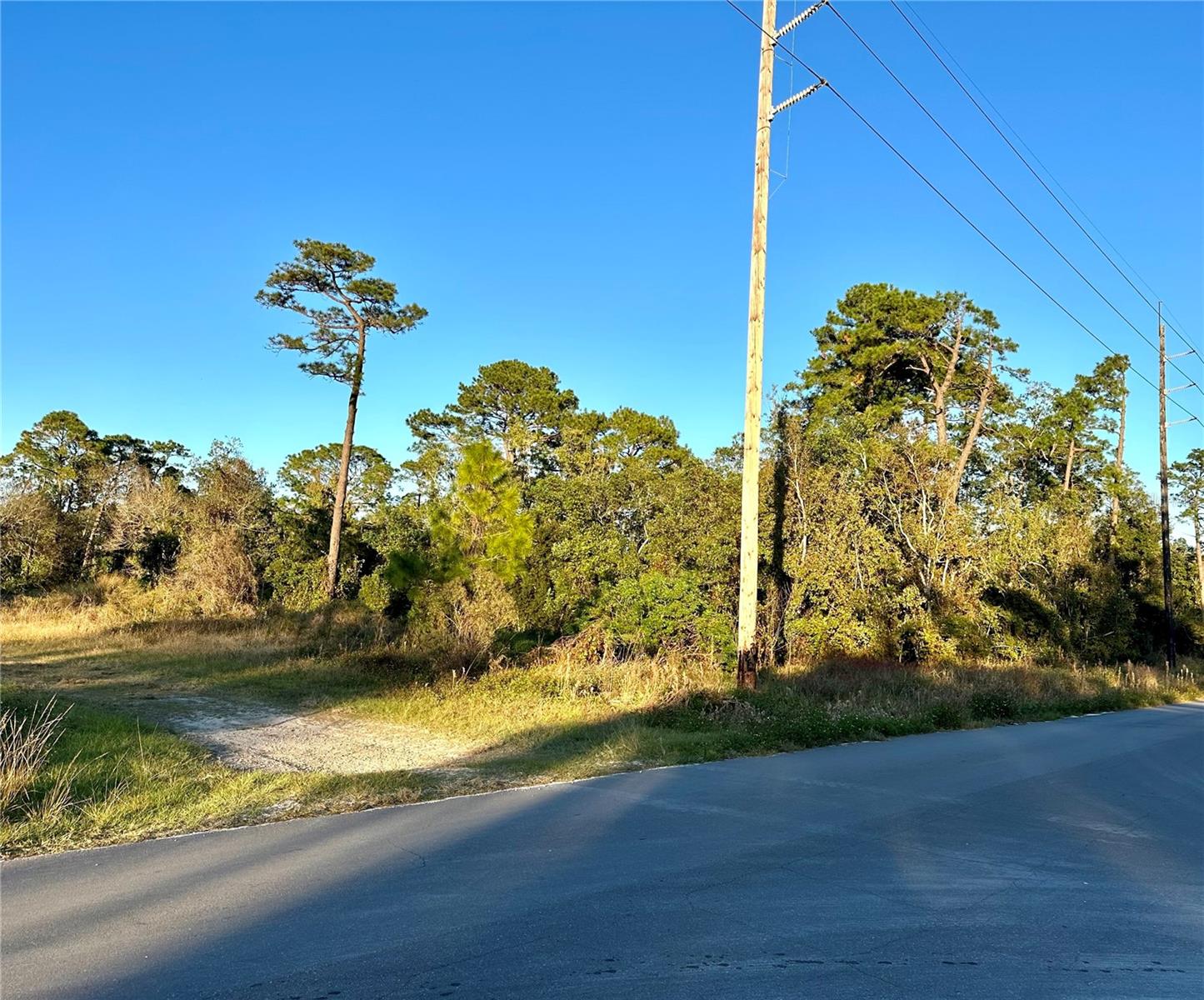 DAYTONA PARK ESTATES SEC C - Land