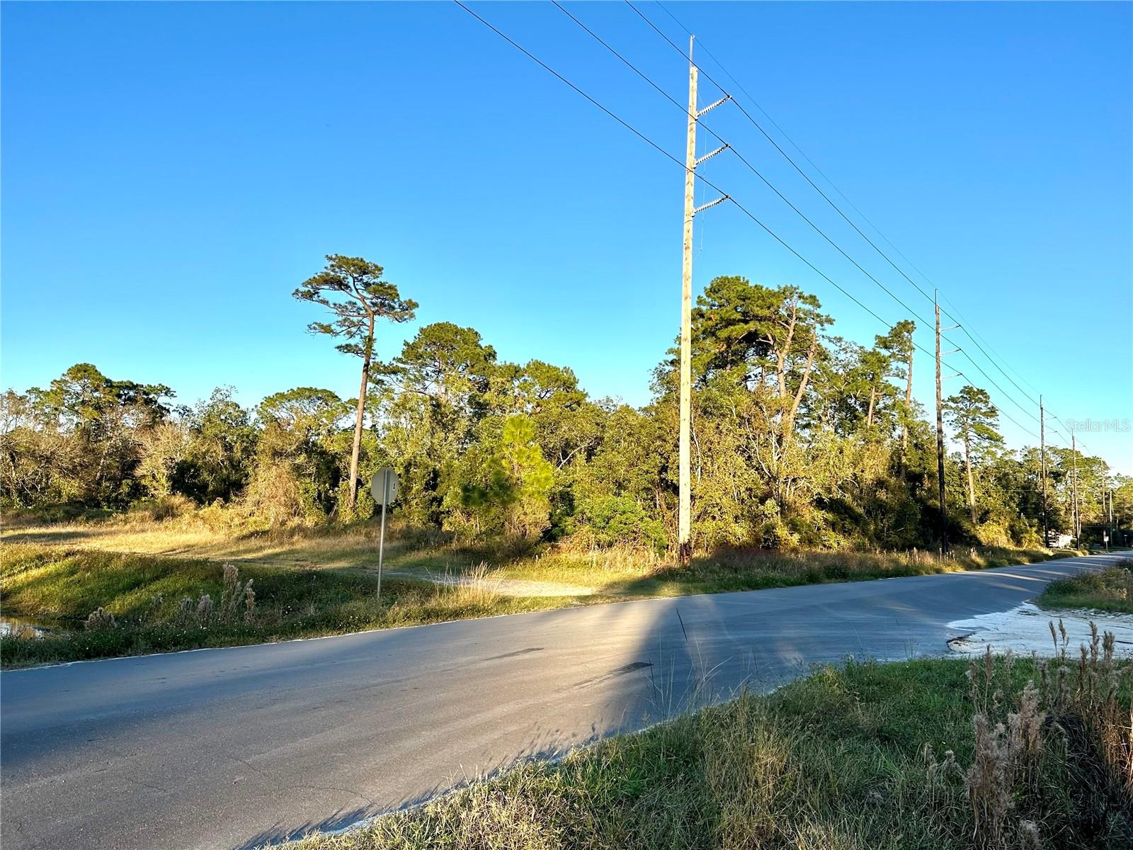 Beautiful corner lot, off a paved road, in Daytona Park Estates! Quiet and quaint, this space offers low-key living while being only a few minutes from downtown DeLand. No HOA! Boundary survey available. Buyer responsible for due diligence. Seller financing available.