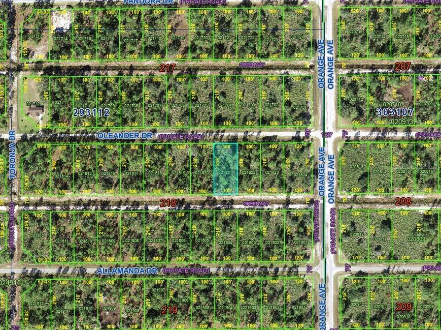 INDIAN LAKE ESTATES - Land