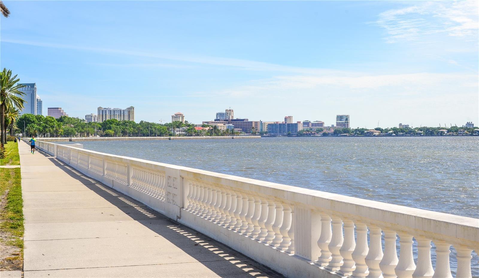 ALTURA BAYSHORE - Residential