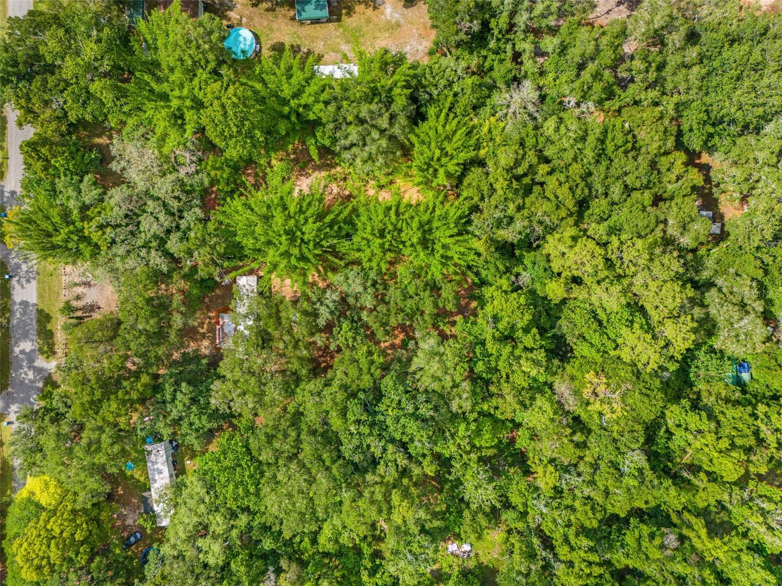 CEDAR LANE SITES - Residential