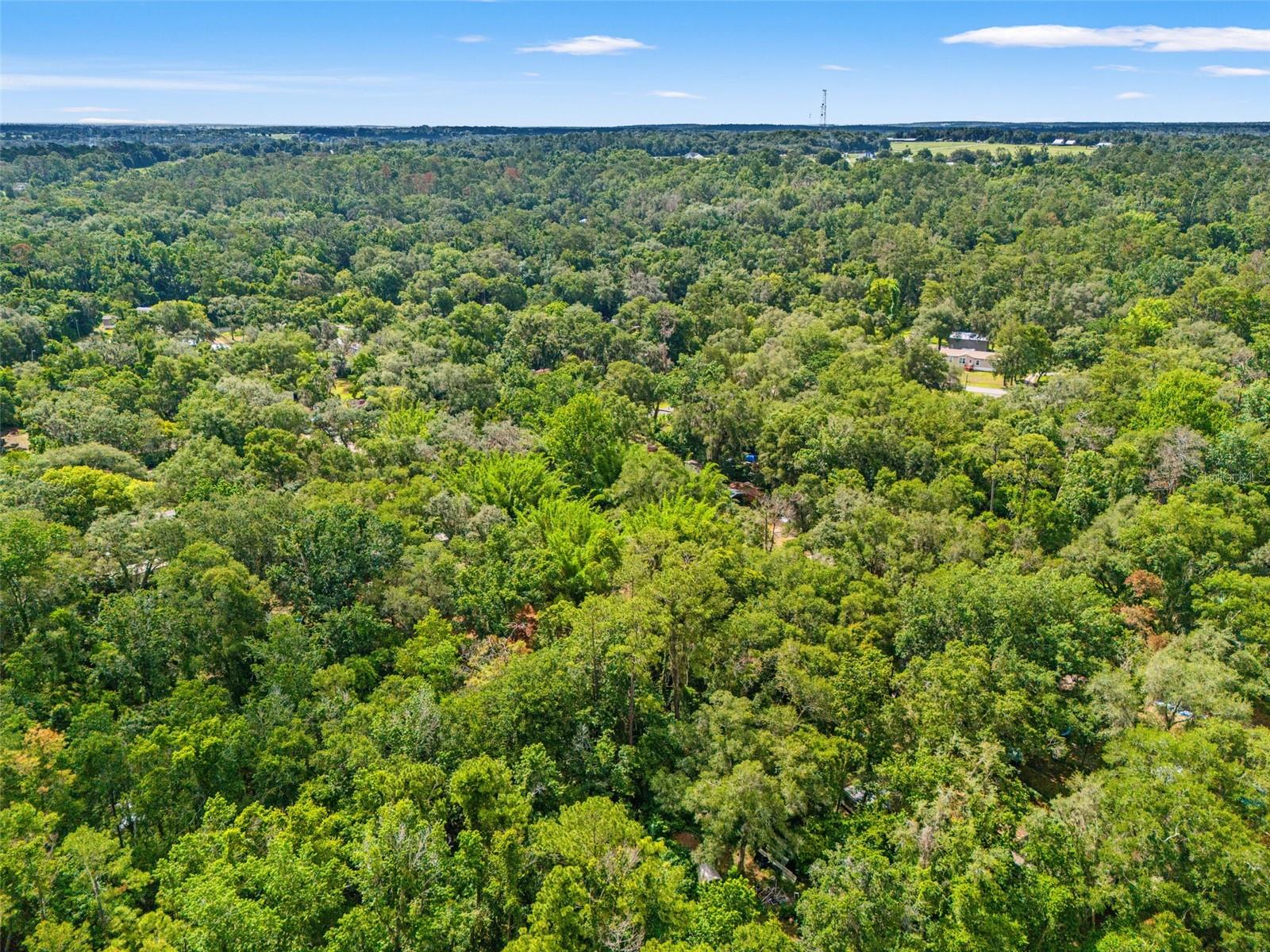 CEDAR LANE SITES - Residential