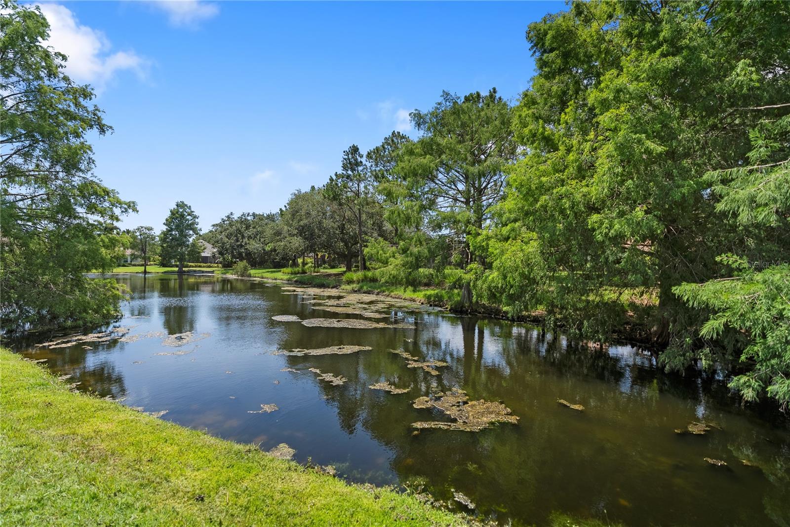 LAKEWOOD RANCH COUNTRY CLUB VILLAGE Q - Residential
