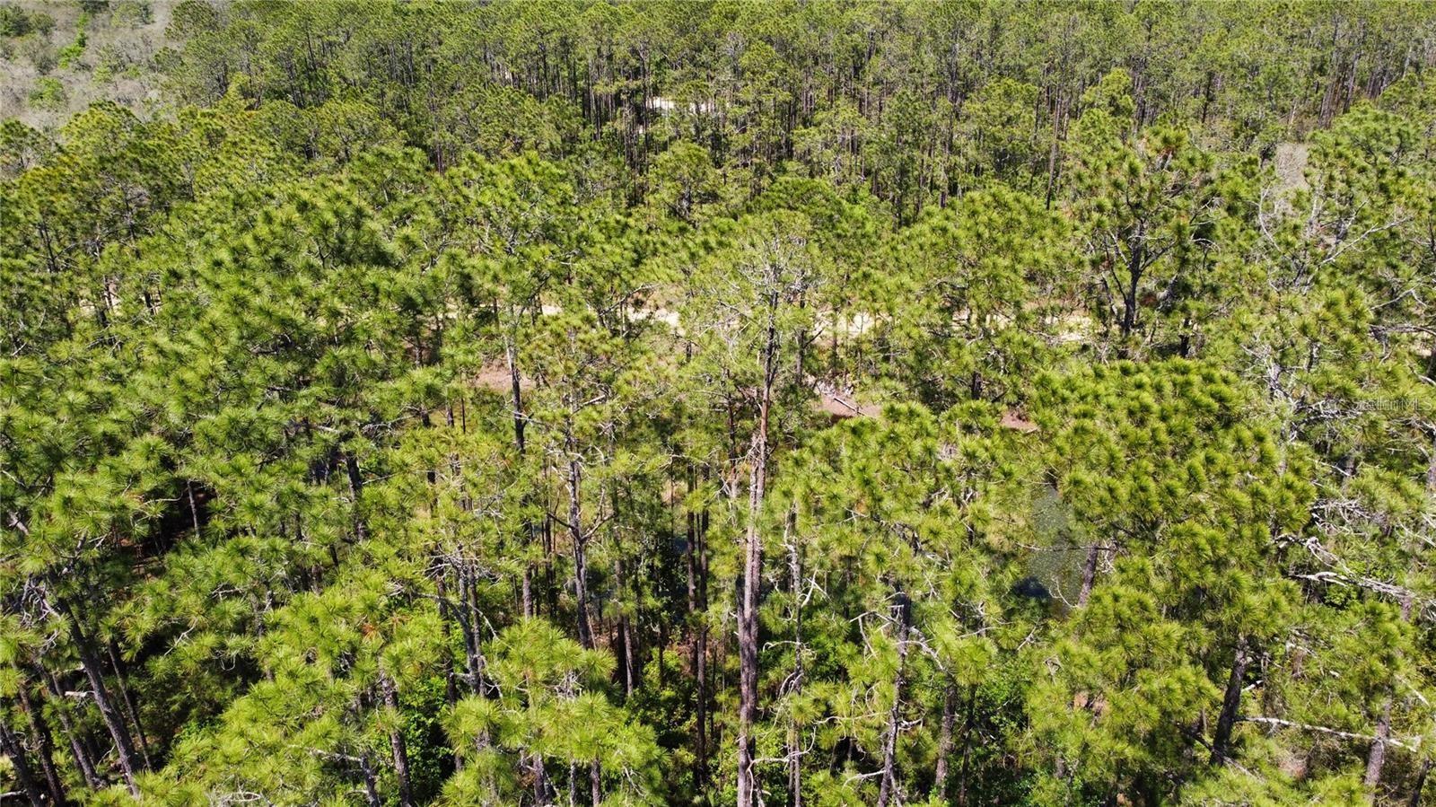 INTERLACHEN LAKES ESTATES - Land