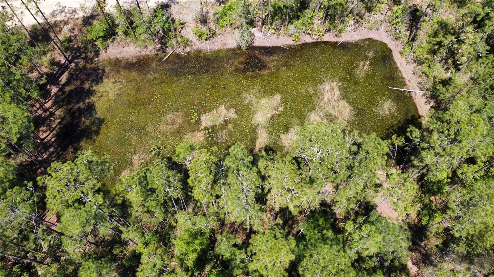INTERLACHEN LAKES ESTATES - Land