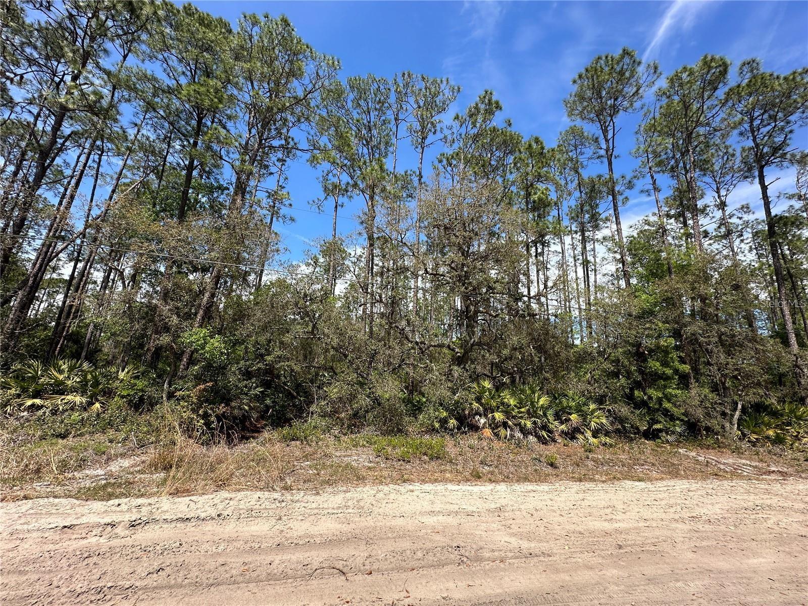 INTERLACHEN LAKES ESTATES - Land