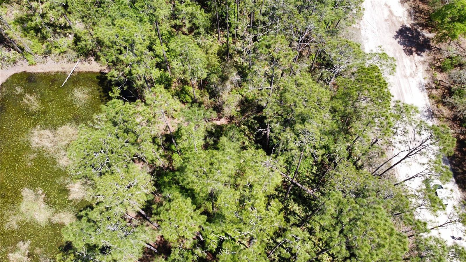 INTERLACHEN LAKES ESTATES - Land