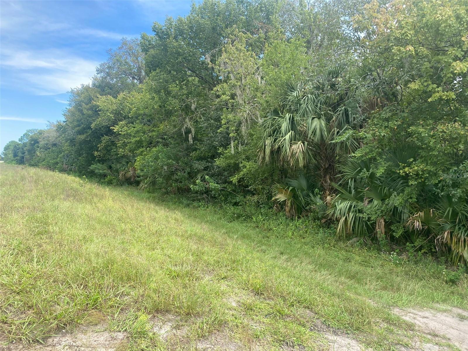 CANAVERAL GROVES SUB - Land