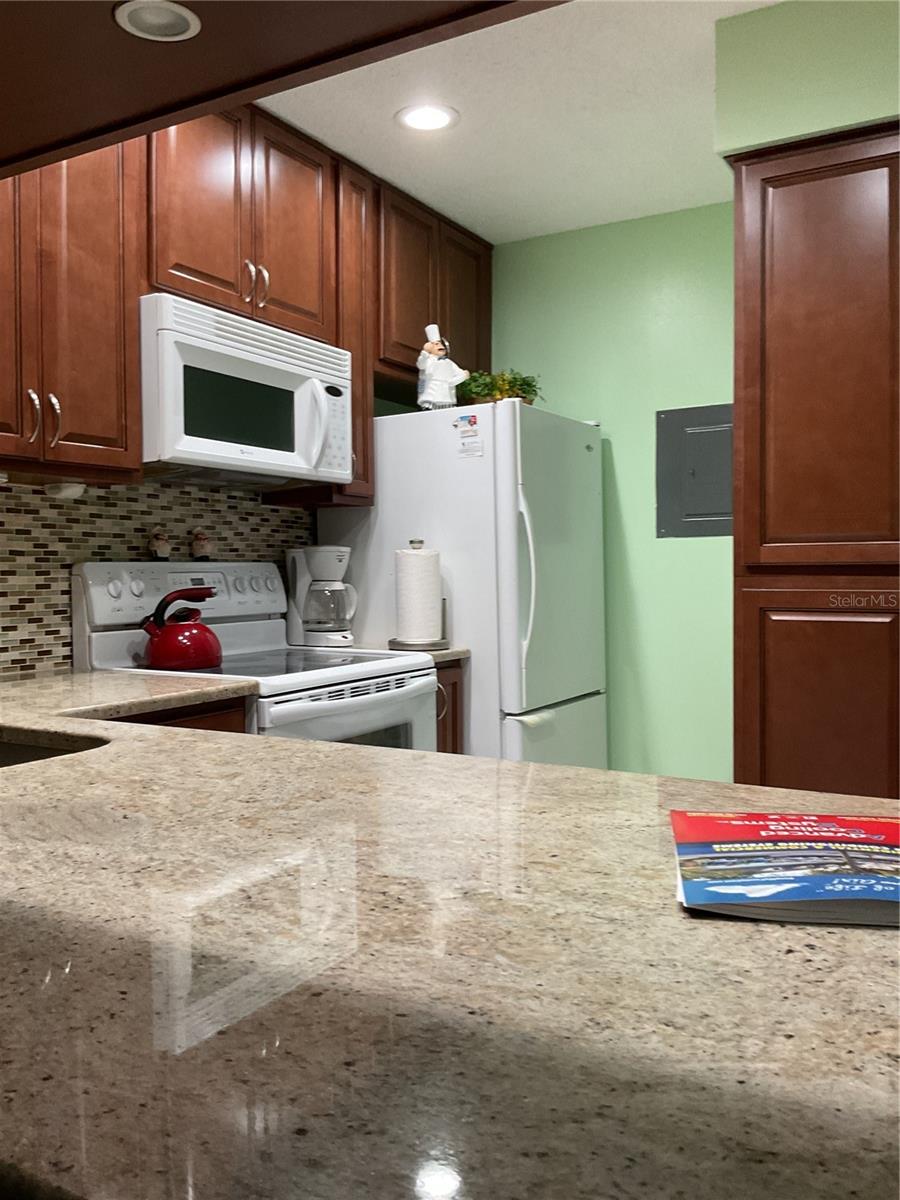 PINE RIDGE AT PALM HARBOR - Residential